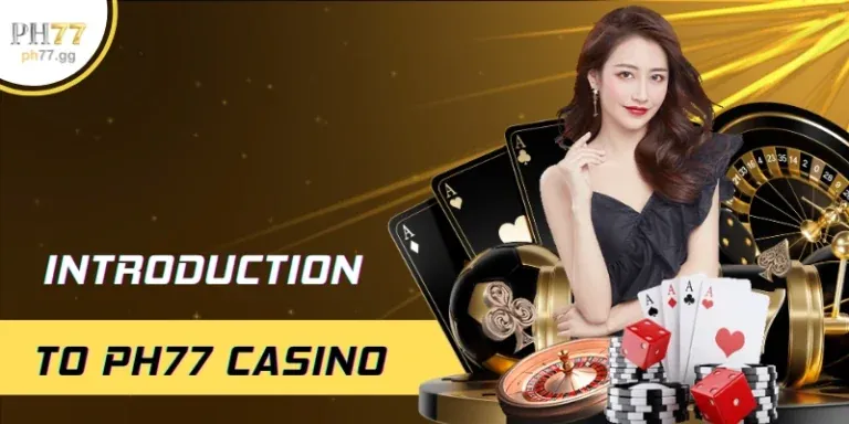 Hướng dẫn cho người mới